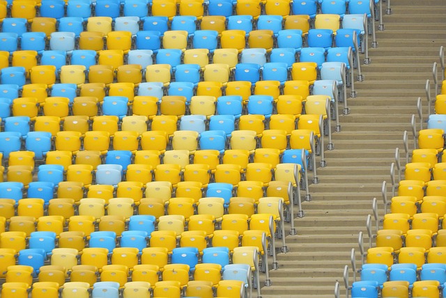 蜂队一共抢 蜂队一共抢