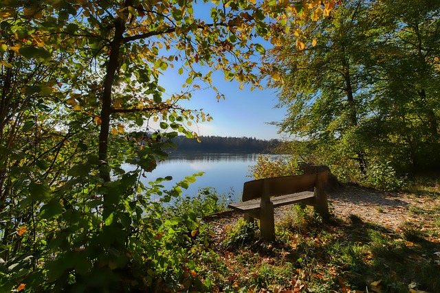 支球队最重 支球队最重