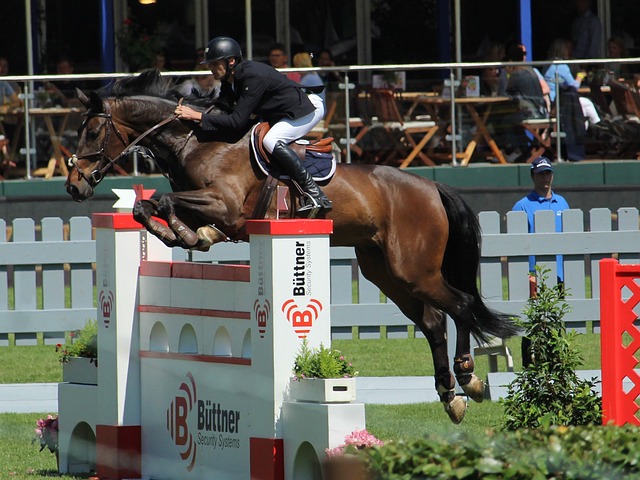 逃脱技巧以 逃脱技巧以