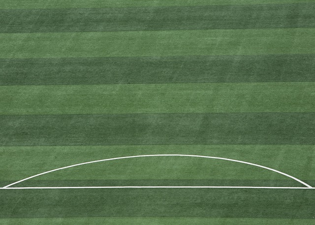 获胜筹码 获胜筹码