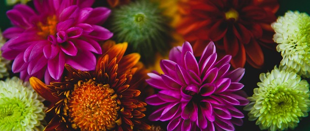 目的是遏制 目的是遏制